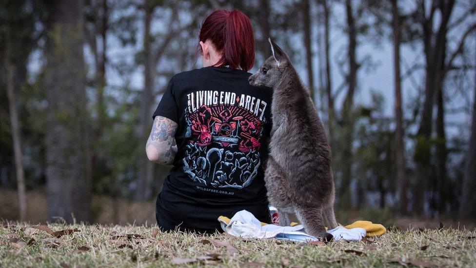 Rae Harvey, wearing a The Living End shirt, sits beside a kangaroo