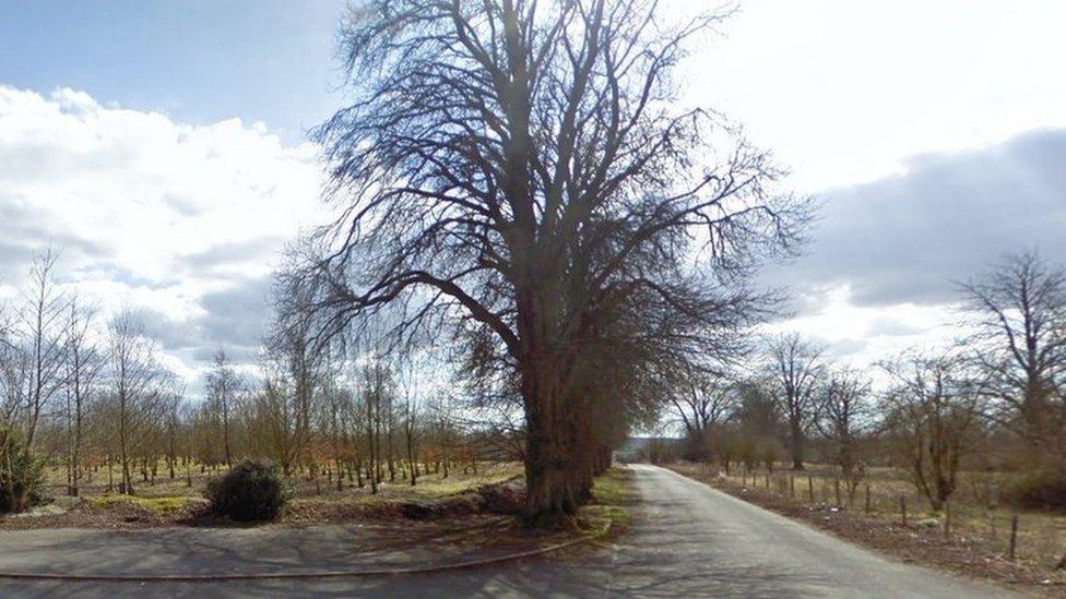 The Avenue, in Longparish