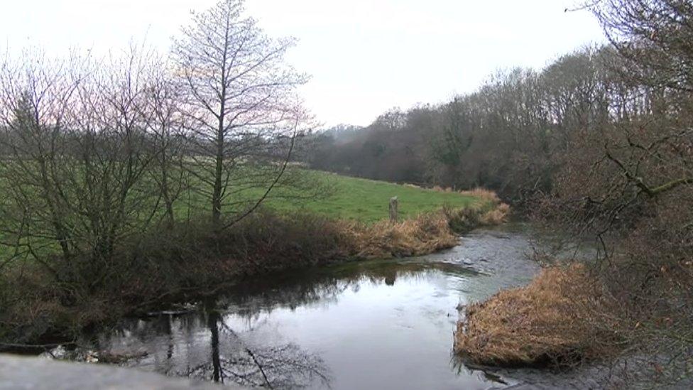 The River Teifi near Tregaron