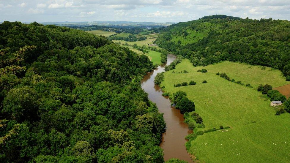 The River Wye, seen from Symonds Yat Rock in Symonds Yat, Herefordshire,