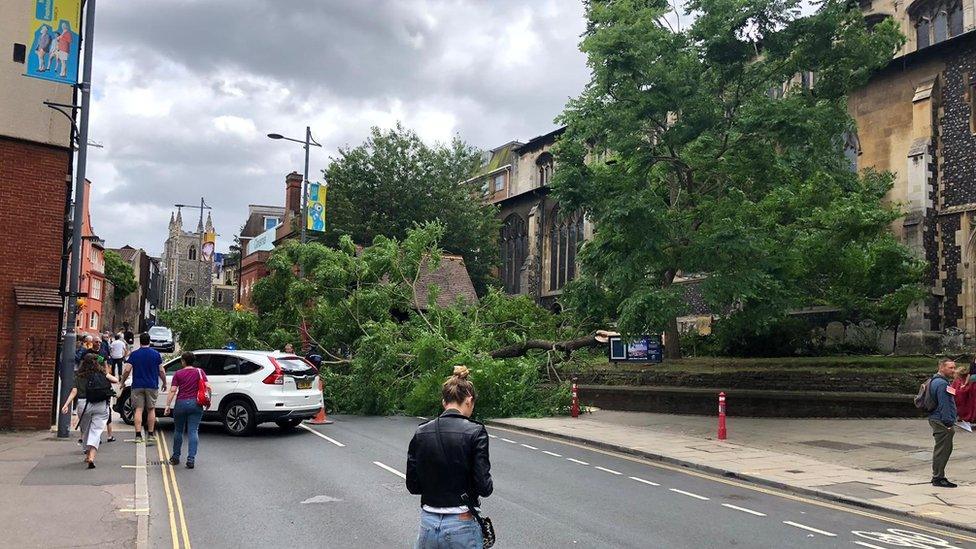 A road through Norwich is blocked by a fallen tree