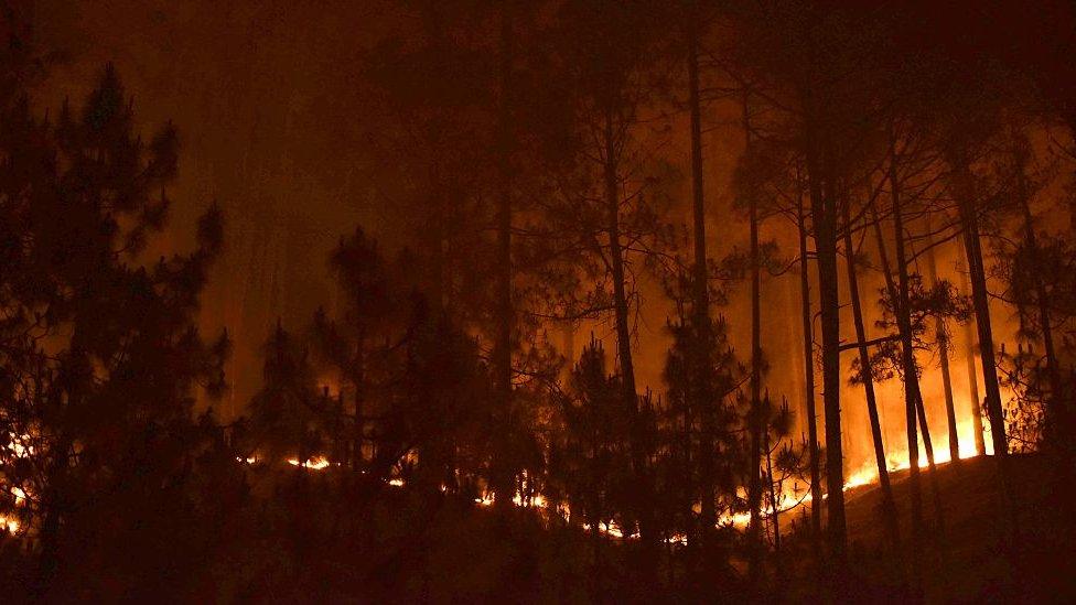 Forest fires in Ranikhet district of Uttarakhand state