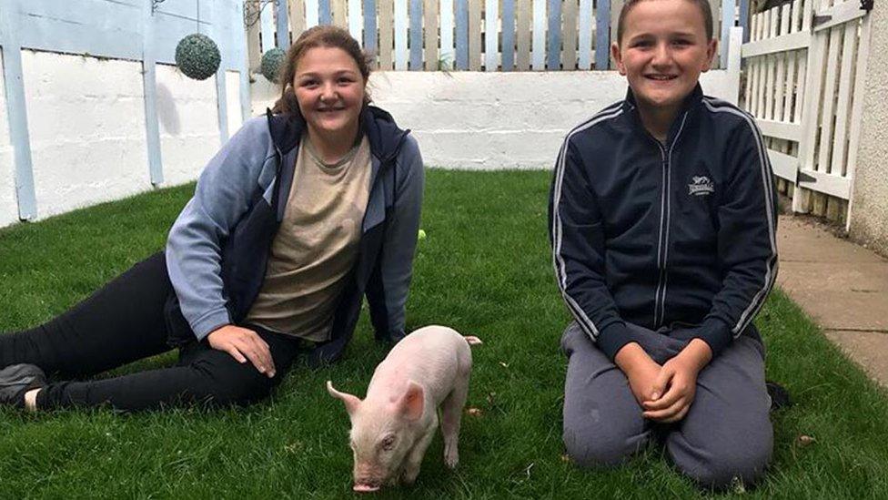 Caitlin and Innes Raffan with the piglet