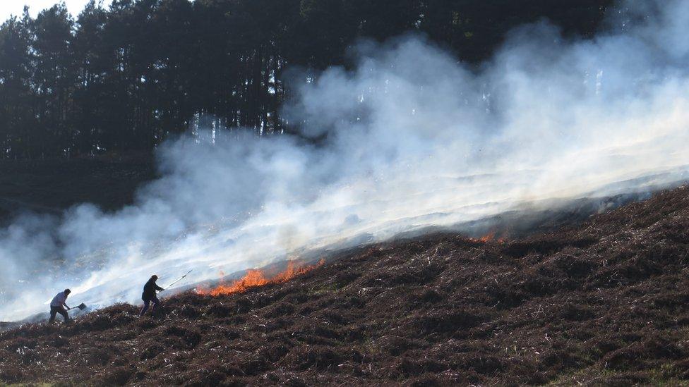 Bradgate Park fire