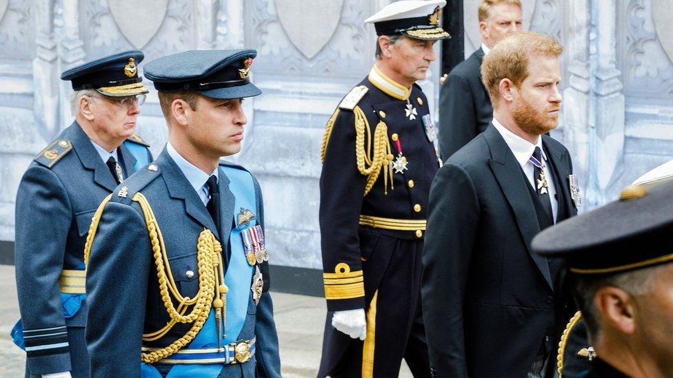 Prince William and Prince Harry marching along the mall