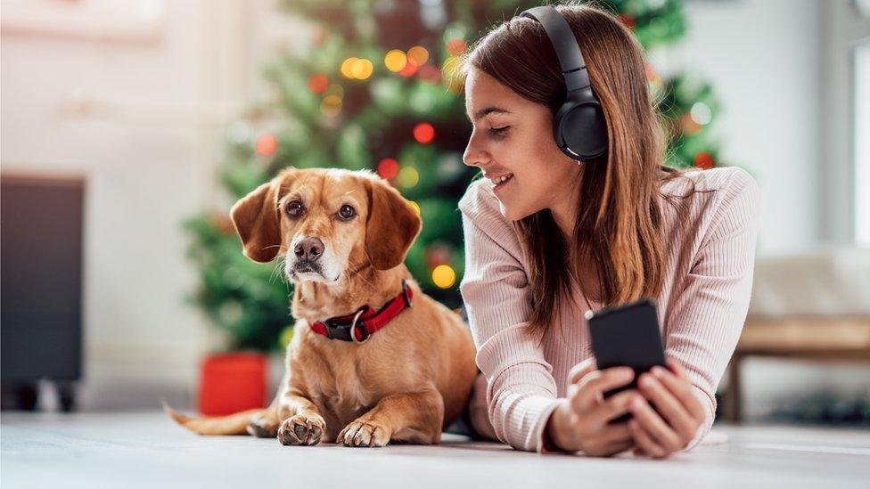 Dog and girl listening to music