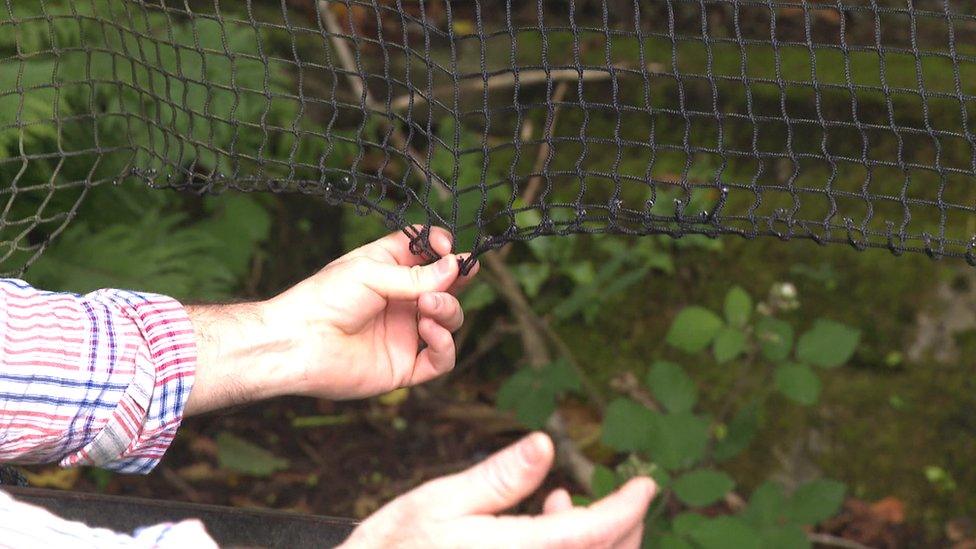 damaged fence