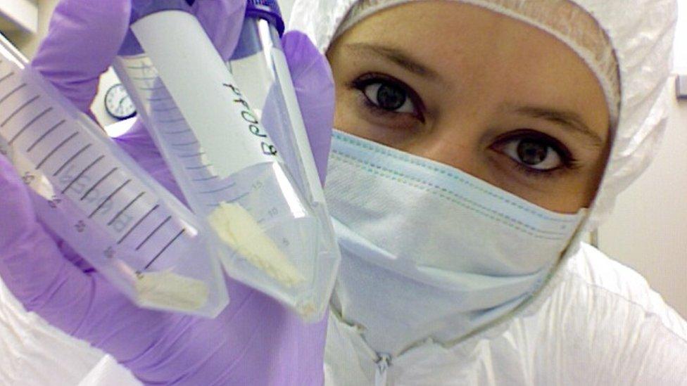 Scientist Alida de Flamingh with samples of ancient ivory