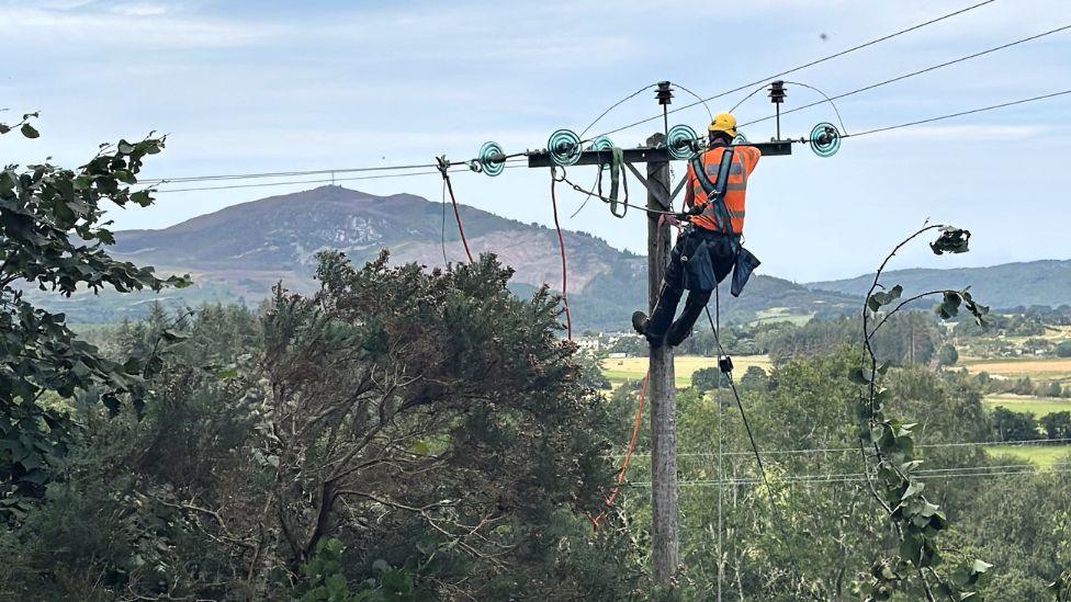 A man in a harness repairs an overhead power line. He is wearing a yellow hard hat and high-vis orange vest. He is perched at the top of a wooden pole holding power lines, with trees in the foreground and hills in the background. 