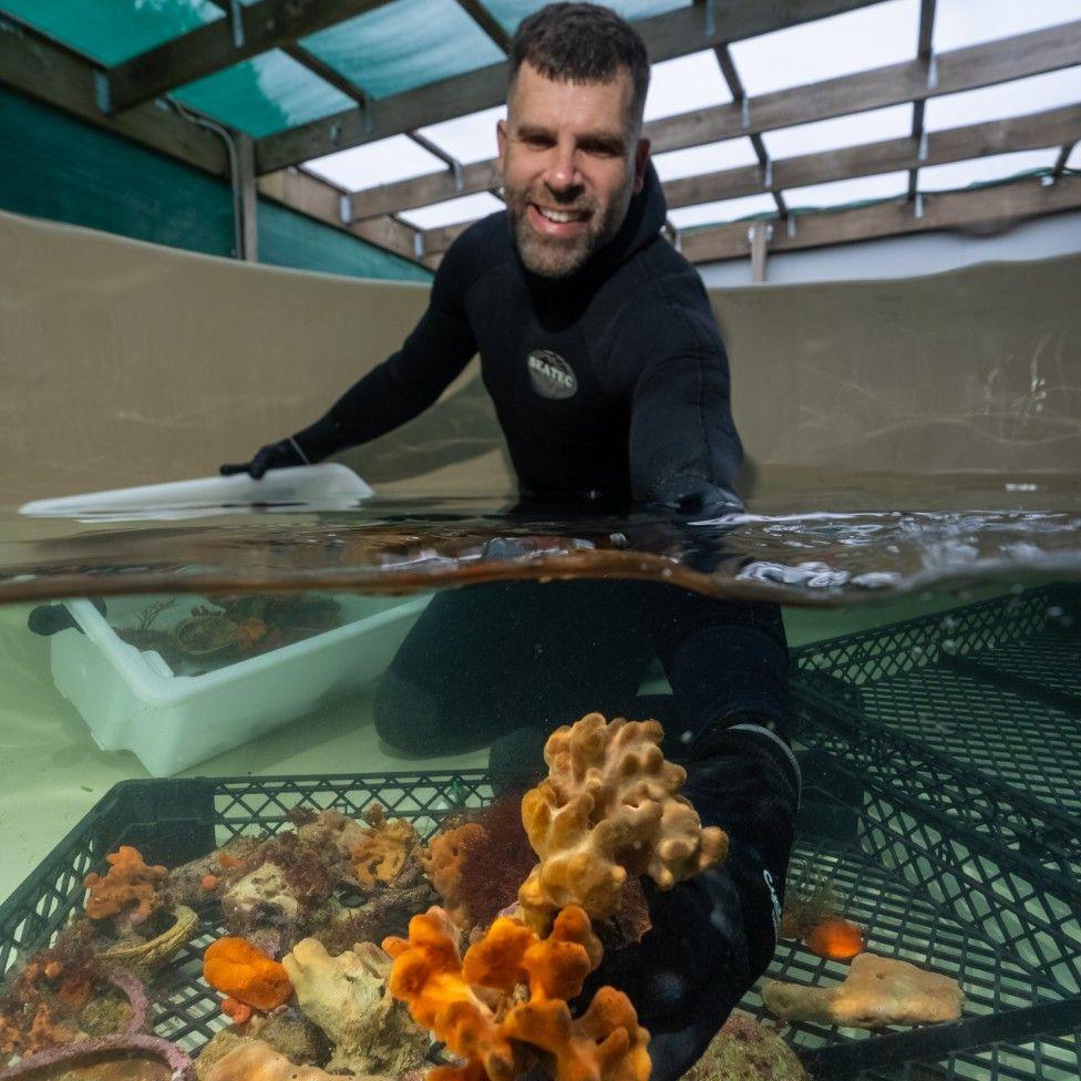 Dr chris holding baby sea sponges