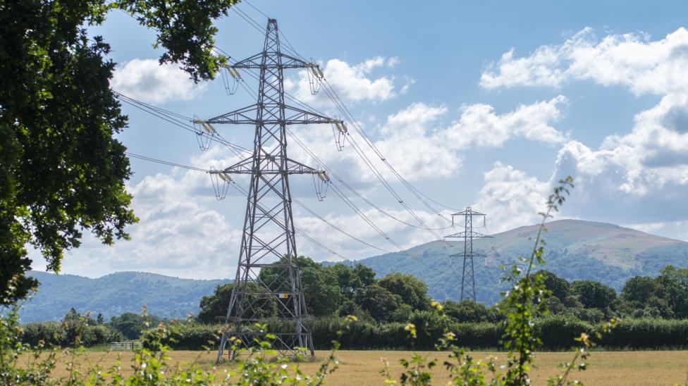 Farmers 'vindicated' after judge's ruling on pylon firm accessing land