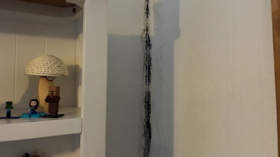 Streipen ddu o leithder ar wal lolfa David Barlow