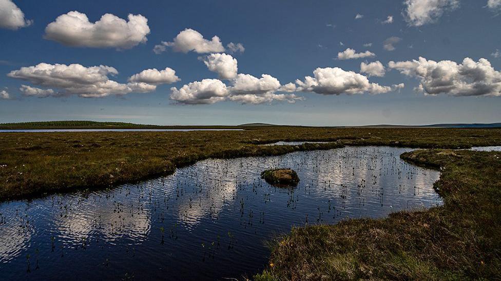 A landscape shot of the bog with clouds in the sky