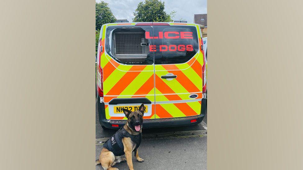 Police dog Creed, wearing a vest, sitting in front of a police van with a smashed window.