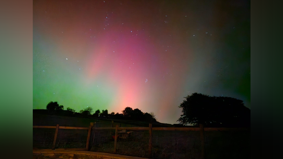 The northern lights with shadowy trees beneath it, the sky is a mix of light green, pinkish-red and a dark blue