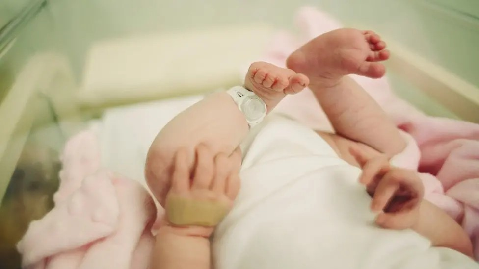 View of a baby's hands and feet in an incubator