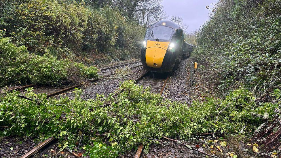 A GWR train coloured green and yellow, with foliage in front of it across the rail tracks. There are hedges on banks either side of the train.