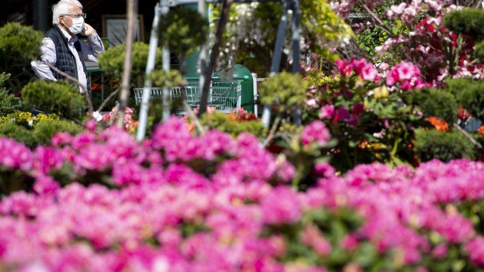 Garden centre in Switzerland reopens after coronavirus restrictions were lifted