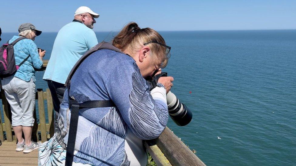 Bempton Cliffs