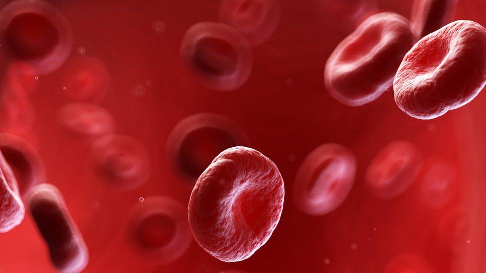 ILLUSTRATION OF BLOOD CELLS