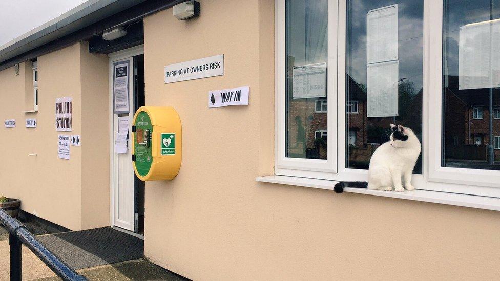 Cat sitting on window of polling station in Yorkshire