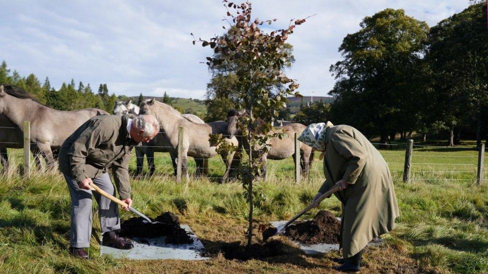 Prince Charles and the Queen planting a tree