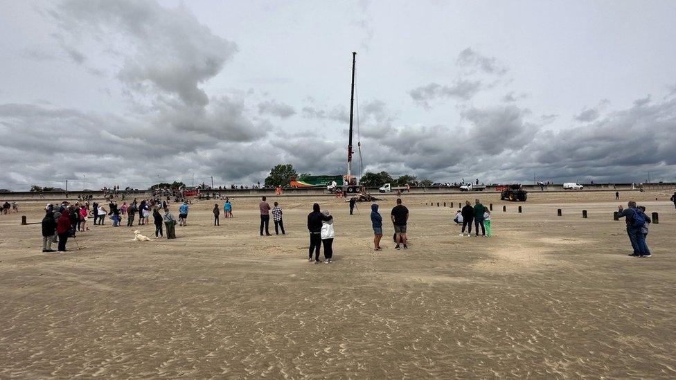 Whale is hoisted off St Mary's Bay beach