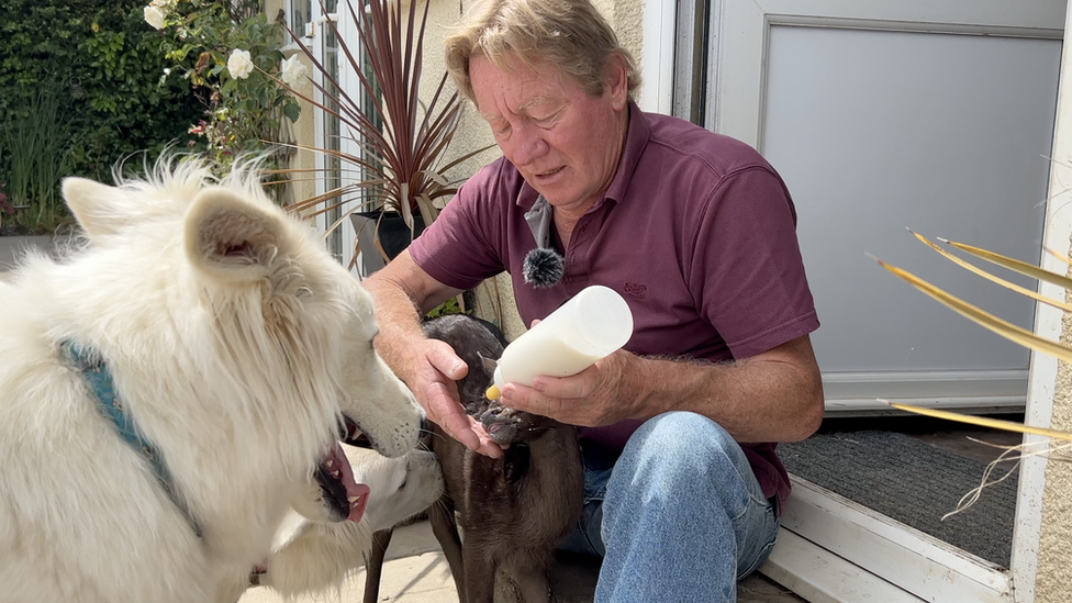 Milly being fed by Steve