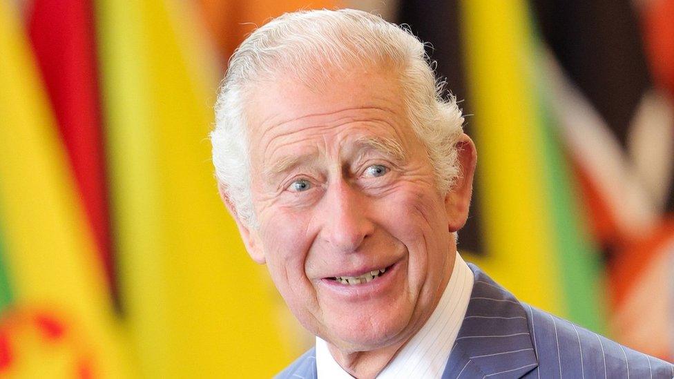 Prince Charles smiling in front of a colourful background