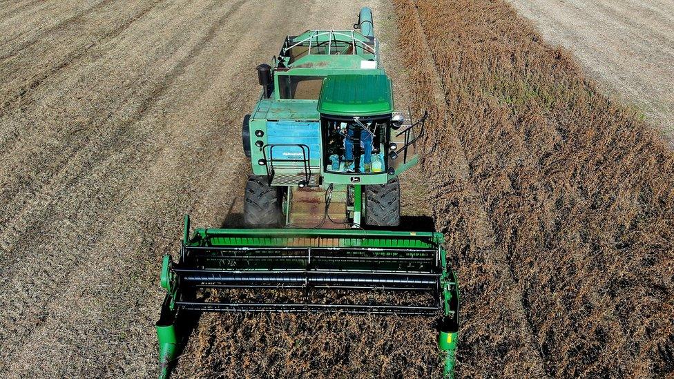 Farmer Mark Catterton drives a John Deere Harvester while harvesting soybeans during his fall harvest on October 19, 2018 in Owings, Maryland.