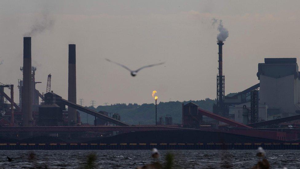 Birds fly over Hamilton Harbour near steel mills in Hamilton, Ontario