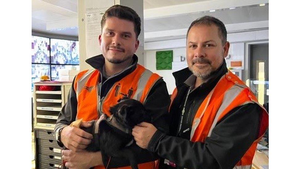 Mr Hug and Mr Timmins hold the puppy after rescuing it from the tracks