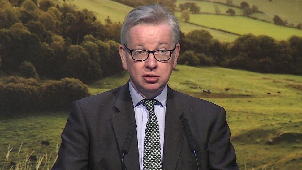 Michael Gove