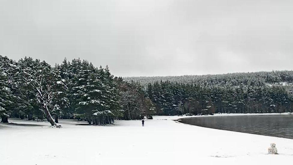 Loch Morlich