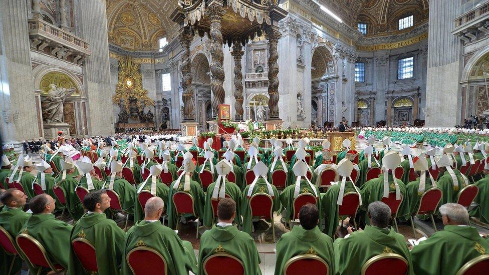 Synod of Bishops