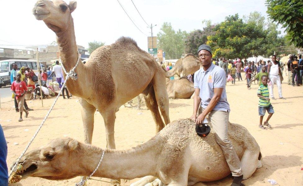 Man sitting on a camel