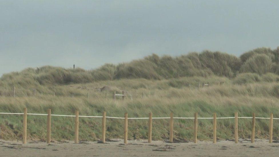 Tyrella Beach sand dunes