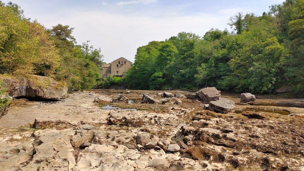 Image of a dried up riverbed