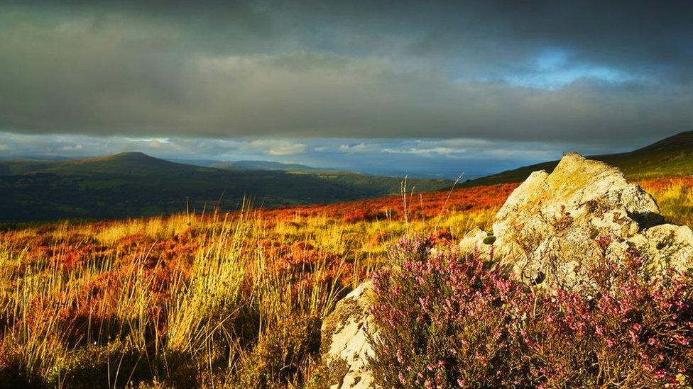 Heather on The Tumble looking across to Sugar Loaf Mountain