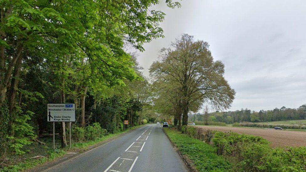 Road sign on left of A33 at Kingsworthy verge, hedge and field to right