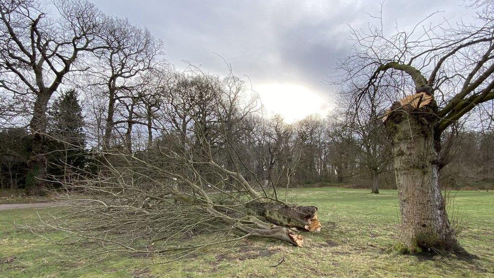 Clumber Park