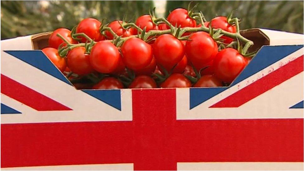 Picture of tomatoes in a box with a Union Jack