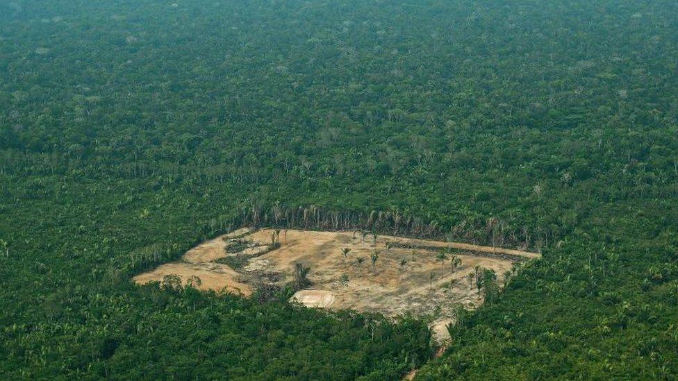 -Aerial-view-of-forest-which-has-been-cleared