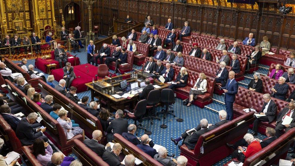 A photo of the House of Lords chamber during a debate. Lord Paddick is on his feet.