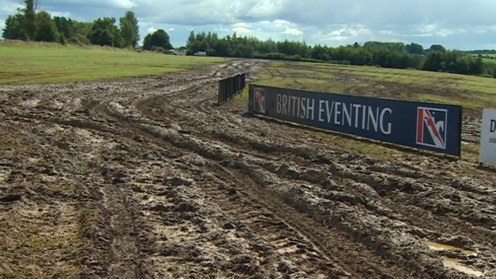 The field at Gatcombe Park