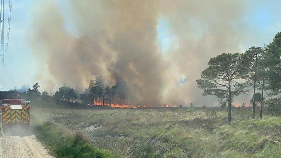 Wareham Forest fire