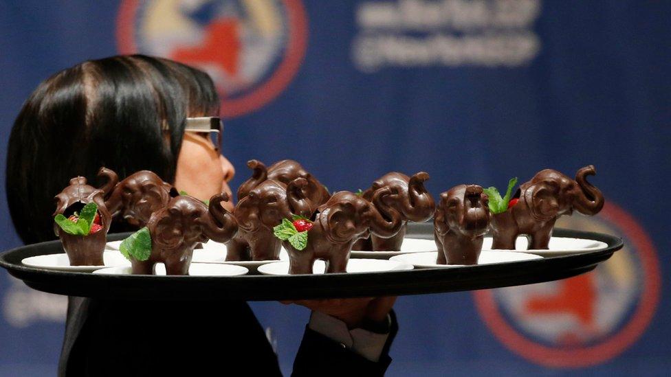 A woman carries a tray full of chocolate elephants to tables before the start of the New York Republican State Committee Annual Gala