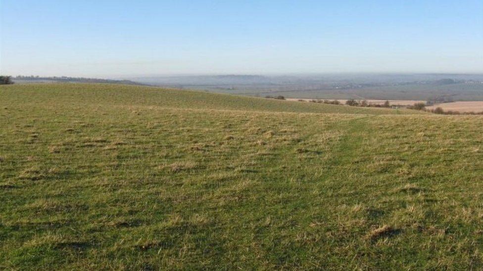 Chalk grassland at Sharpenhoe Clappers, Chilterns AONB