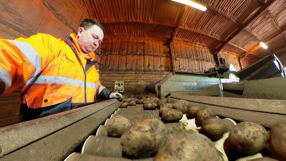 Mat Smith with potato conveyer belt