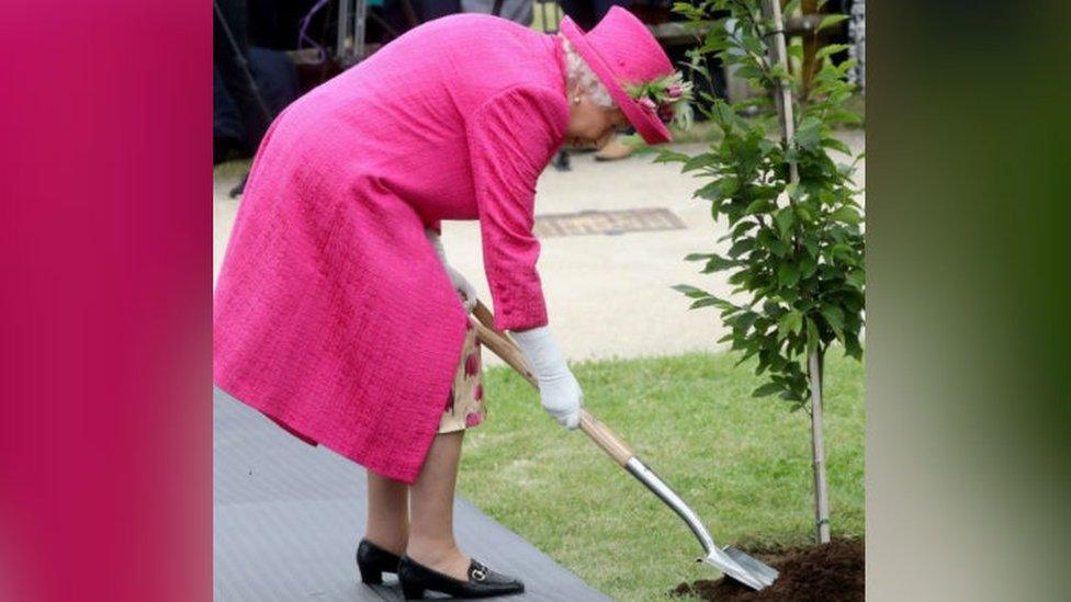 The Queen planting a tree